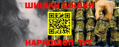 стаф Новокубанск