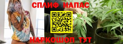 стаф Новокубанск