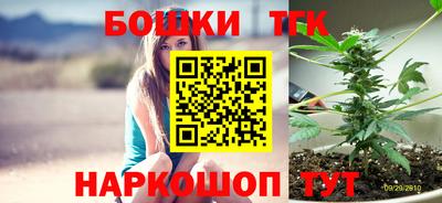 стаф Новокубанск